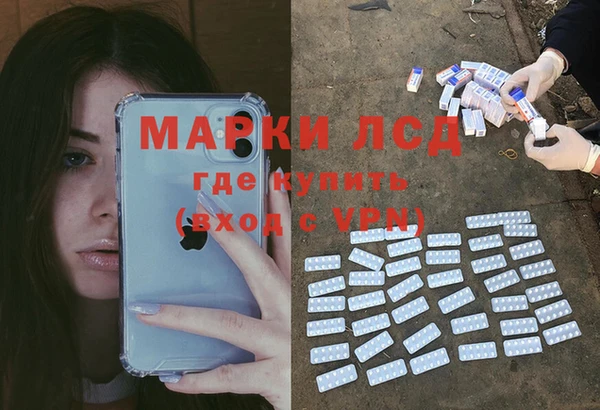 ПСИЛОЦИБИНОВЫЕ ГРИБЫ Алексеевка