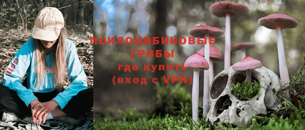 ПСИЛОЦИБИНОВЫЕ ГРИБЫ Алексеевка